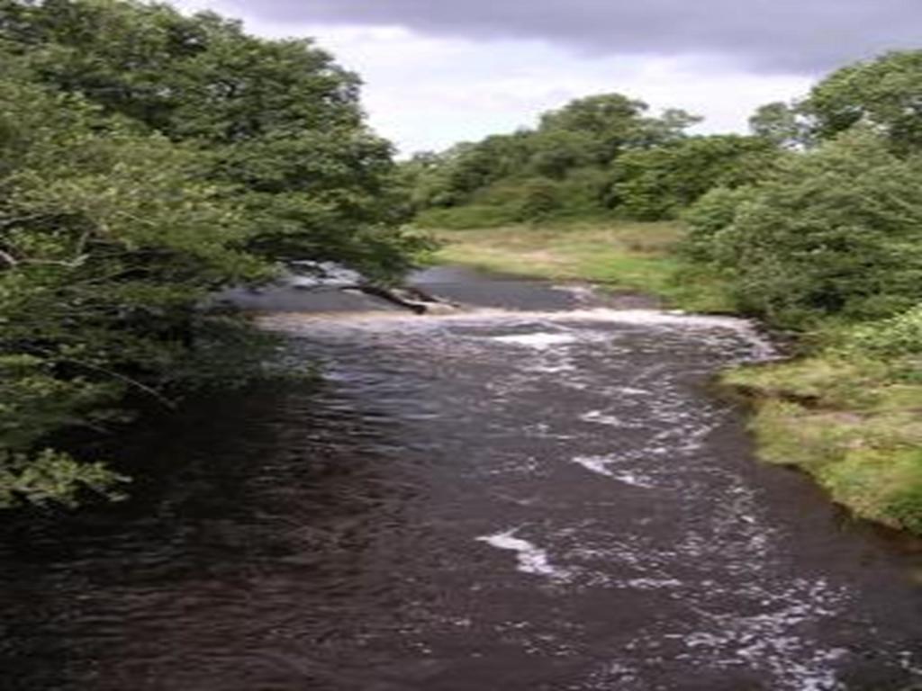 Rockfoot B&B Fintry Esterno foto