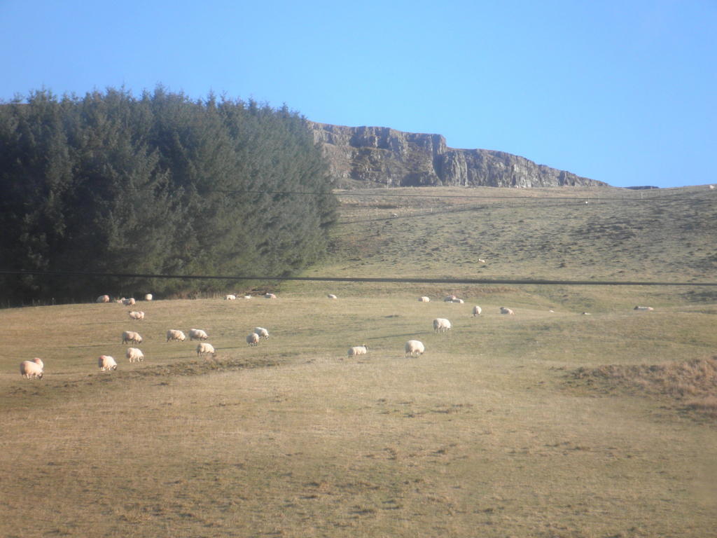 Rockfoot B&B Fintry Esterno foto
