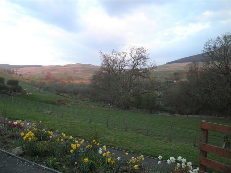 Rockfoot B&B Fintry Esterno foto